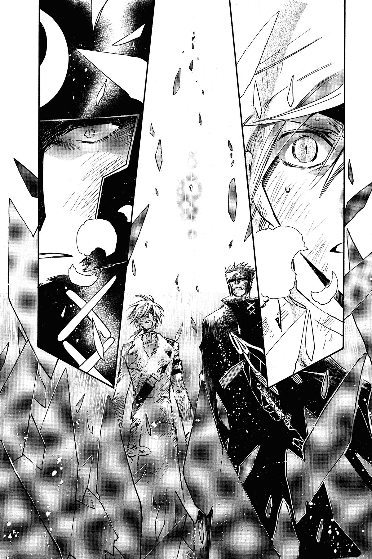 Tsubasa: Reservoir Chronicle Chapter 211 Page 11