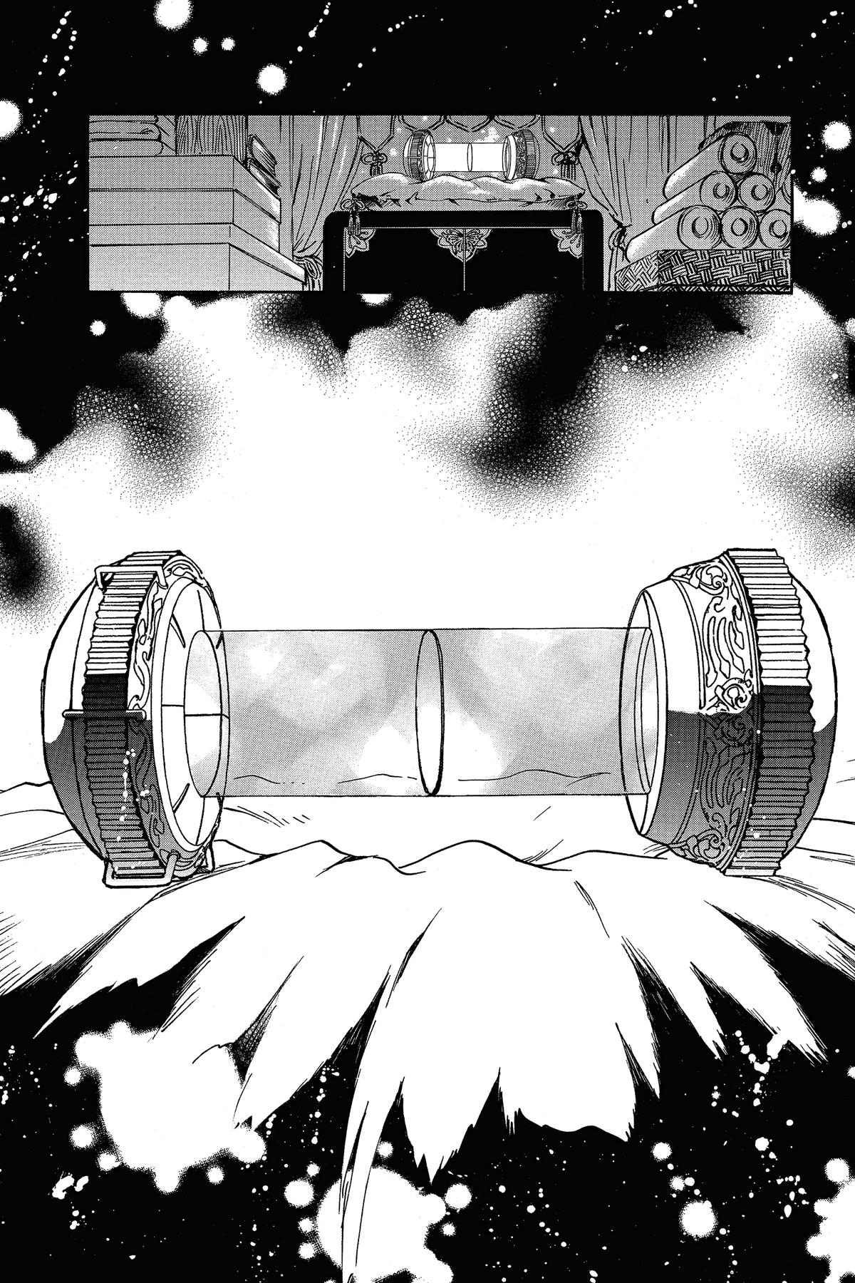 Tsubasa: Reservoir Chronicle Chapter 215 Page 14