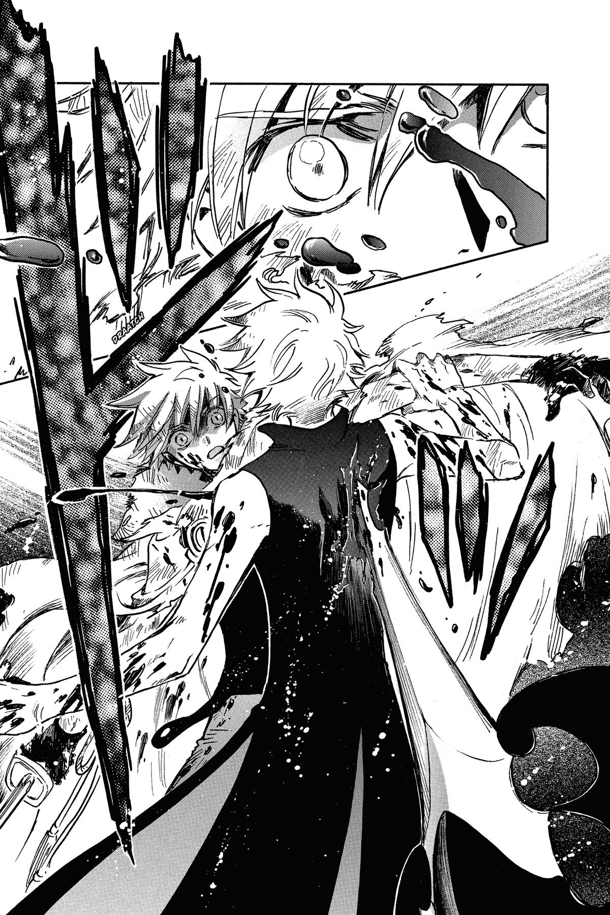 Tsubasa: Reservoir Chronicle Chapter 209 Page 11
