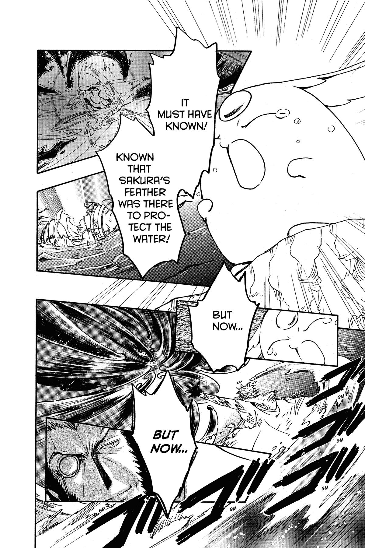 Tsubasa: Reservoir Chronicle Chapter 213 Page 6