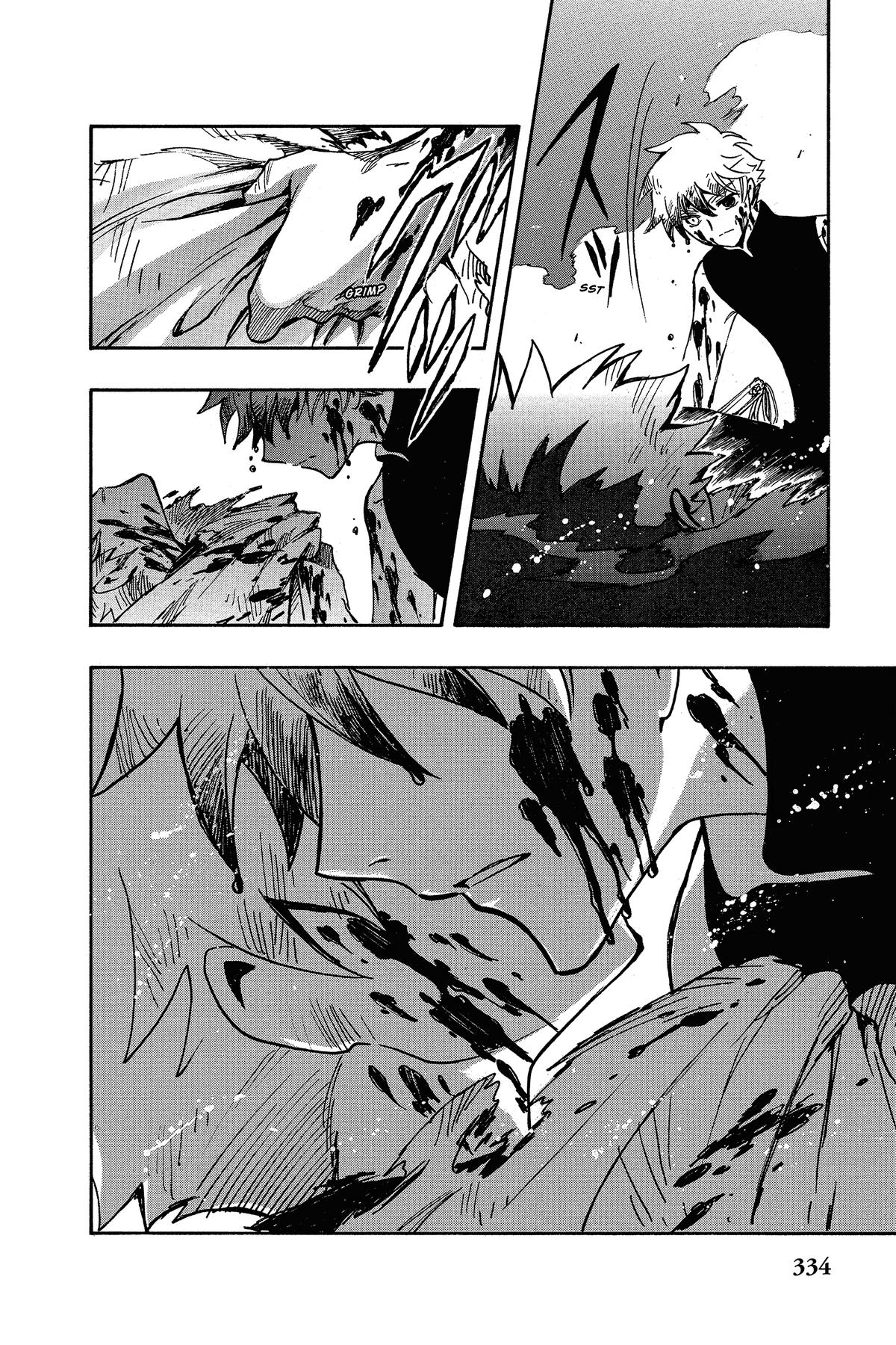 Tsubasa: Reservoir Chronicle Chapter 208 Page 14