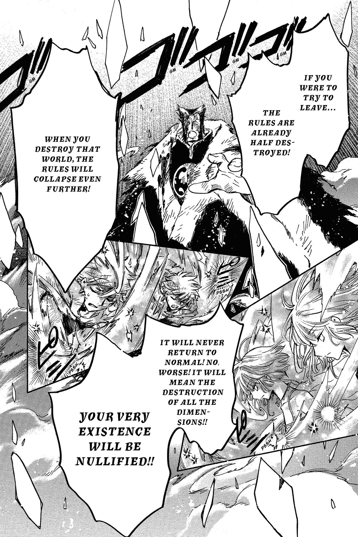 Tsubasa: Reservoir Chronicle Chapter 229 Page 11