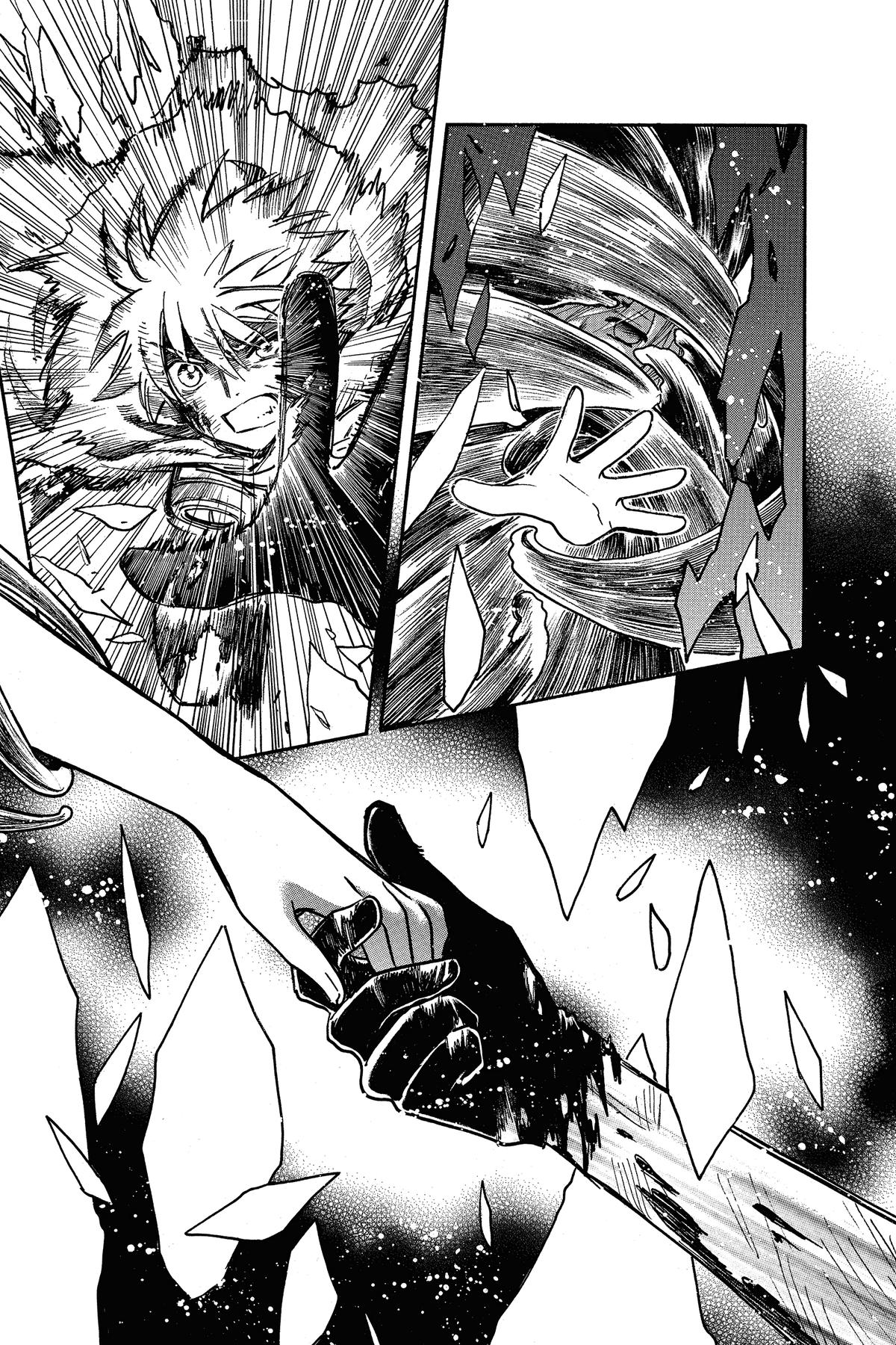 Tsubasa: Reservoir Chronicle Chapter 214 Page 14