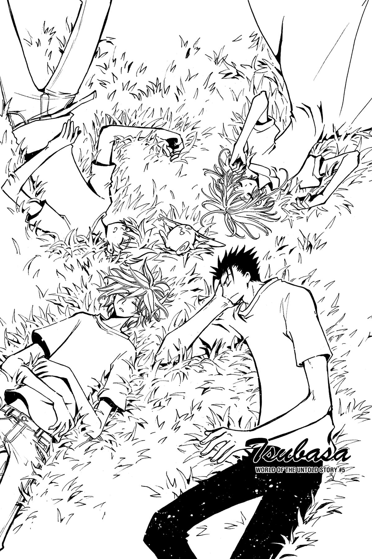 Tsubasa: Reservoir Chronicle Wandering Crest